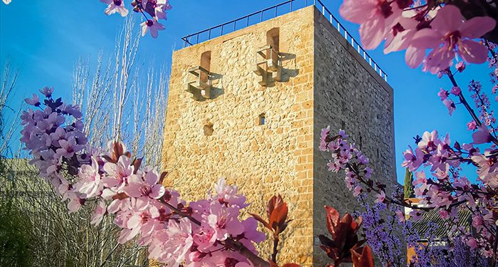 Elegidas las 12 fotografías ganadoras del concurso ‘Guadalajara, con los cinco sentidos’