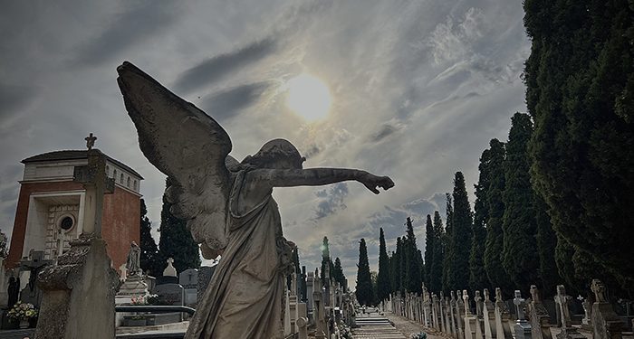 Elegidas las 12 fotografías ganadoras del concurso ‘Guadalajara, con los cinco sentidos’