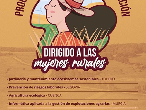 AMFAR abre el plazo de matrícula de siete cursos online gratuitos 1 AMFAR abre el plazo de matrícula de siete cursos online gratuitos