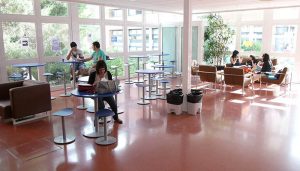 Comienza el proceso electoral para renovar la representación estudiantil en la UCLM