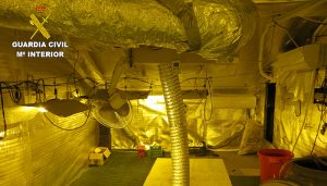 En Albaladejo del Cuende van a fumar menos marihuana gracias a la Guardia Civil