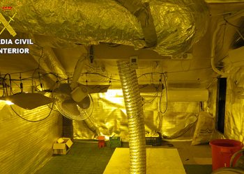 En Albaladejo del Cuende van a fumar menos marihuana gracias a la Guardia Civil