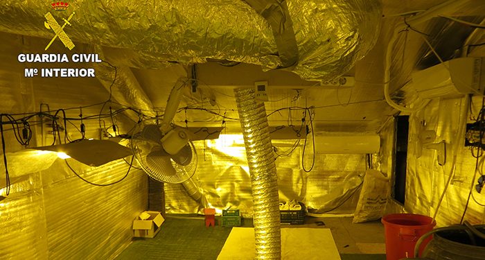 En Albaladejo del Cuende van a fumar menos marihuana gracias a la Guardia Civil