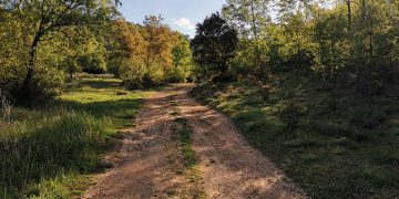 En octubre, tres rutas de senderismo interpretativo en Sigüenza