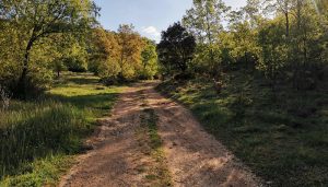 En octubre, tres rutas de senderismo interpretativo en Sigüenza