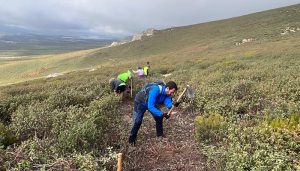 Escudero participa en las tareas de recuperación del tradicional sendero que une Bustares y Pradena de Atienza en el Parque Natural de la Sierra Norte
