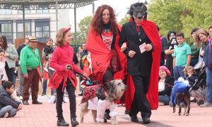 Gran éxito del «MascoHalloween», con casi 70 mascotas disfrazadas en la Plaza del Pueblo de Cabanillas