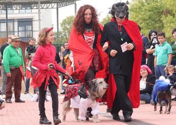 Gran éxito del «MascoHalloween», con casi 70 mascotas disfrazadas en la Plaza del Pueblo de Cabanillas