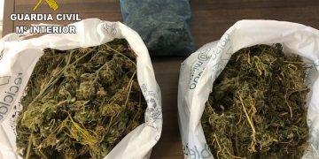 Investigan a un joven de 20 años por tener demasiada marihuana en Cañaveras