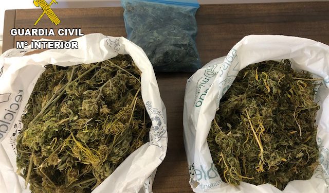 Investigan a un joven de 20 años por tener demasiada marihuana en Cañaveras
