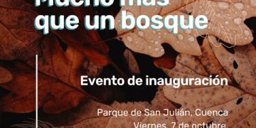 La exposición ‘Mucho más que un bosque’ de UFIL Cuenca se inaugura este viernes