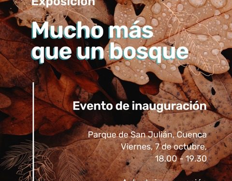 La exposición ‘Mucho más que un bosque’ de UFIL Cuenca se inaugura este viernes 1 La exposición ‘Mucho más que un bosque’ de UFIL Cuenca se inaugura este viernes