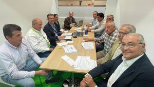 La Mesa Nacional del Ajo prevé un descenso importante de las siembras debido al aumento de los costes de producción y la sequía