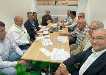 La Mesa Nacional del Ajo prevé un descenso importante de las siembras debido al aumento de los costes de producción y la sequía 4 La Mesa Nacional del Ajo prevé un descenso importante de las siembras debido al aumento de los costes de producción y la sequía