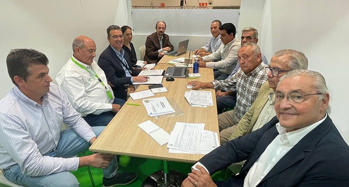 La Mesa Nacional del Ajo prevé un descenso importante de las siembras debido al aumento de los costes de producción y la sequía