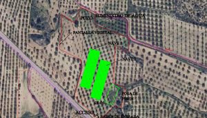 Presentadas alegaciones a una nueva macrogranja porcina en Aliaguilla