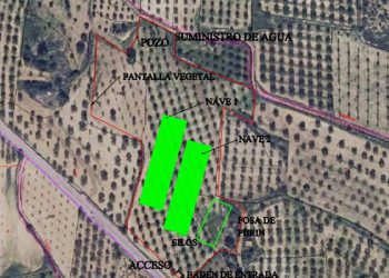 Presentadas alegaciones a una nueva macrogranja porcina en Aliaguilla