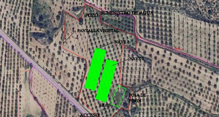 Presentadas alegaciones a una nueva macrogranja porcina en Aliaguilla 1 Presentadas alegaciones a una nueva macrogranja porcina en Aliaguilla