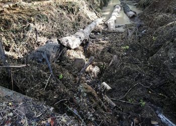 Puebla de Almenara se viste de luto por el fallecimiento de un matrimonio en la riada de Saelices