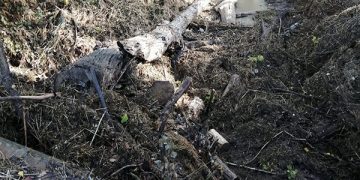 Puebla de Almenara se viste de luto por el fallecimiento de un matrimonio en la riada de Saelices