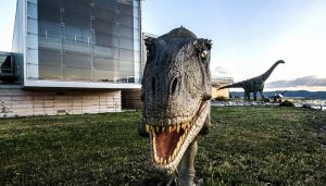 Un total de 200 especialistas de España y Portugal se darán cita en el MUPA en unas jornadas de la Sociedad de Paleontología y en el V Congreso Ibérico