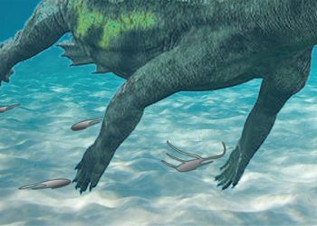 Una investigación de la UAH descubre huellas de notosaurio del Triásico en Guadalajara