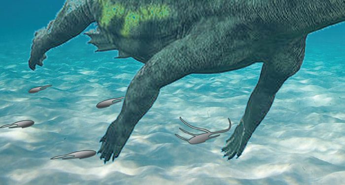 Una investigación de la UAH descubre huellas de notosaurio del Triásico en Guadalajara