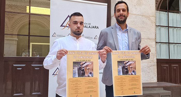 Vuelve la Feria de Ganado de Cantalojas tras el parón por la pandemia 1 Vuelve la Feria de Ganado de Cantalojas tras el parón por la pandemia