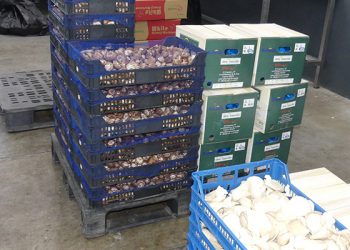 CEOE-Cepyme Cuenca apunta que las exportaciones suman un 10% más que el año pasado