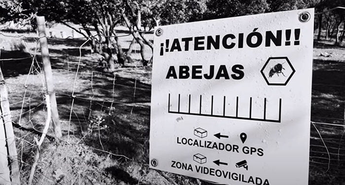 Convocada la segunda edición del concurso de vídeos de la Feria Apícola Internacional de Pastrana