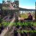 Documental. Etapa trashumante brutal por la Serranía de Cuenca