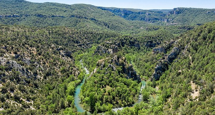 La Asociación Forestal Alcarreña asegura que los montes de Guadalajara son un polvorín ante la ausencia de gestión forestal 1 El Alto Tajo protagoniza el próximo programa de Volando Voy el martes 15 de noviembre