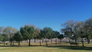 El Ayuntamiento de Villanueva de la Torre licita el proyecto de obras de reforma del parque El Mirador