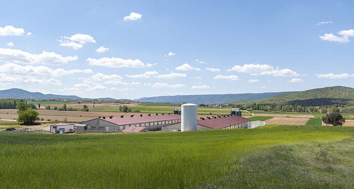 El TSJCM da la razón a ICPOR y anula la Ordenanza municipal sobre gestión de purines de Almendros