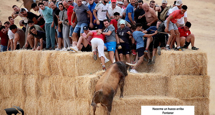 ‘Hacedme hueco arriba’, Primer Premio del 15º Concurso de Fotografía Taurina de ToroAlcarria 1 ‘Hacedme hueco arriba’, Primer Premio del 15º Concurso de Fotografía Taurina de ToroAlcarria