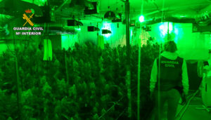 La Guardia Civil desmantela dos plantaciones de marihuana “indoor” en El Casar