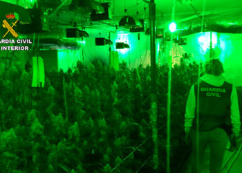 La Guardia Civil desmantela dos plantaciones de marihuana “indoor” en El Casar