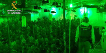 La Guardia Civil desmantela dos plantaciones de marihuana “indoor” en El Casar