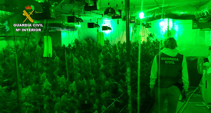 La Guardia Civil desmantela dos plantaciones de marihuana “indoor” en El Casar