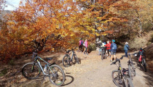 La Junta organiza más de 40 actividades para disfrutar del otoño a través del programa de sensibilización y educación ambiental ‘Vive tu Espacio’