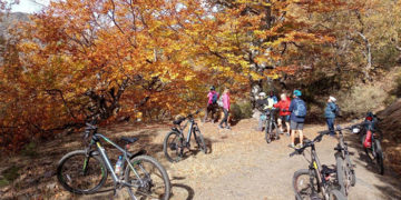 La Junta organiza más de 40 actividades para disfrutar del otoño a través del programa de sensibilización y educación ambiental ‘Vive tu Espacio’