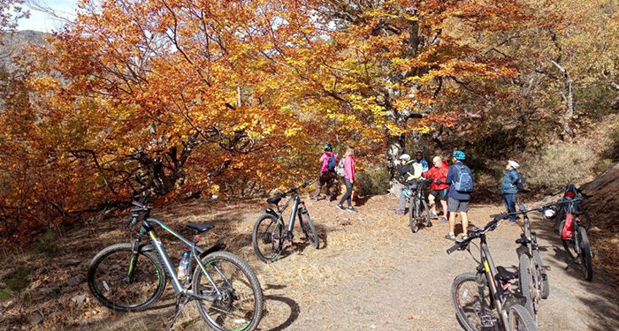 La Junta organiza más de 40 actividades para disfrutar del otoño a través del programa de sensibilización y educación ambiental ‘Vive tu Espacio’