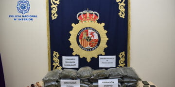 La Policía Nacional interviene en Guadalajara 21 kilogramos de cogollos de marihuana y numerosas armas simuladas