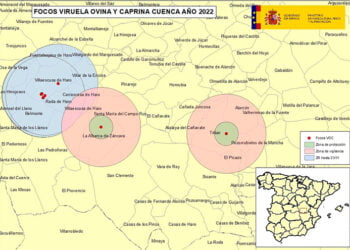 La viruela ovina se extiende por Cuenca con dos nuevos focos en La Alberca y Tébar