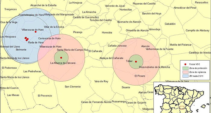 La viruela ovina se extiende por Cuenca con dos nuevos focos en La Alberca y Tébar 1 La viruela ovina se extiende por Cuenca con dos nuevos focos en La Alberca y Tébar