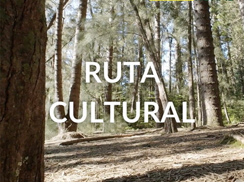 RumboRural lanza la iniciativa “Ruta Cultural del Alto Tajo”