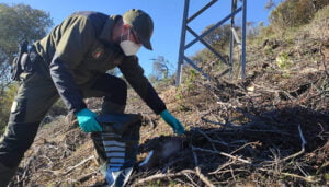 UGT advierte de la desprotección del medio natural en esta época del año debido a la reducción del número de agentes medioambientales