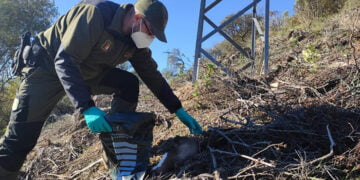 UGT advierte de la desprotección del medio natural en esta época del año debido a la reducción del número de agentes medioambientales