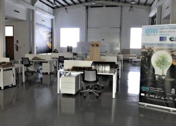 Un estudio de UFIL detecta las áreas de oportunidad aún no explotadas en Bioeconomía Forestal 3 Un estudio de UFIL detecta las áreas de oportunidad aún no explotadas en Bioeconomía Forestal