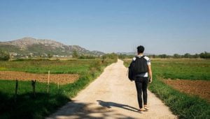 Un total de 75 estudiantes han participado en el programa UCLM Rural 2022